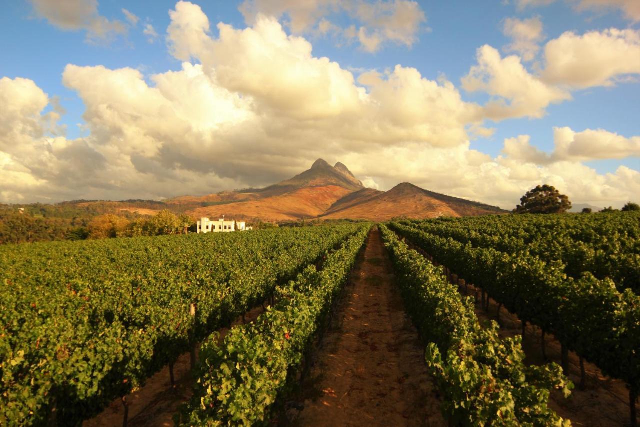 Mitre'S Edge Vineyard Studio Klapmuts المظهر الخارجي الصورة